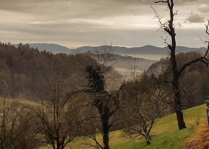 Holidayapartement 2 Pers